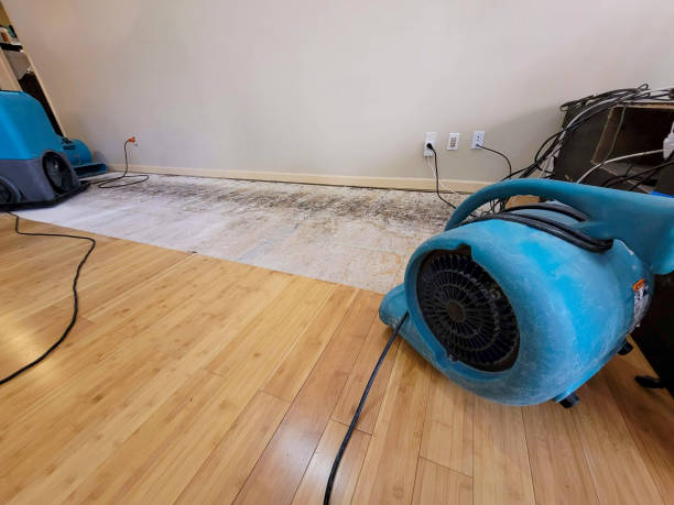 Professional Structural Drying technician working in Newberry, MI